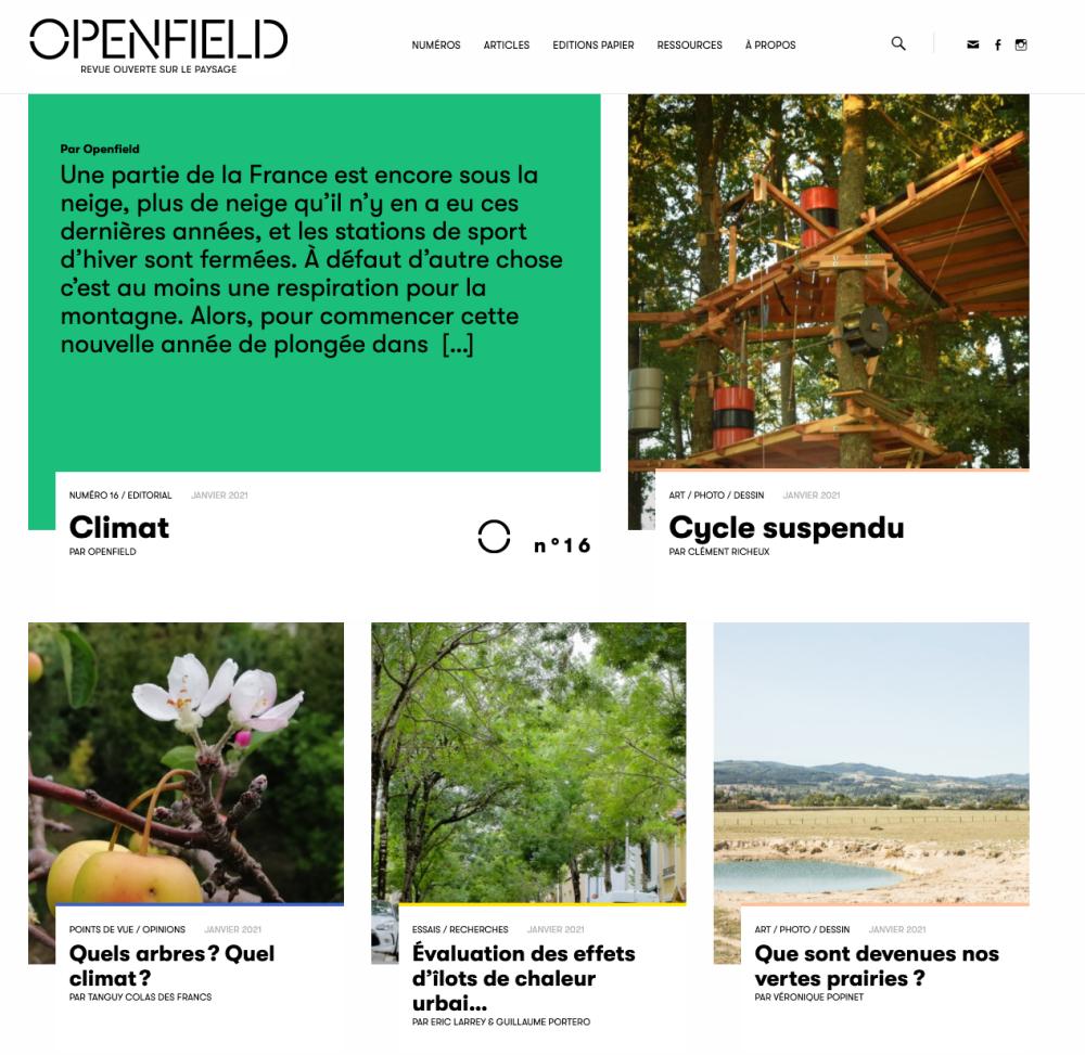 openfield.png