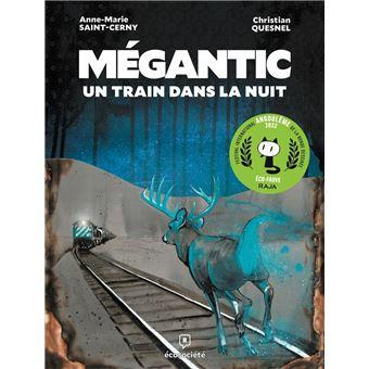 Megantic-un-train-dans-la-nuit.jpg