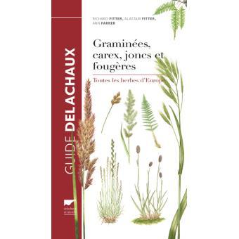 Guide-des-graminees-carex-joncs-et-fougeres.jpg