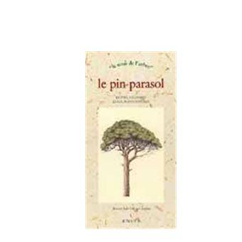 Le-pin-parasol.jpg