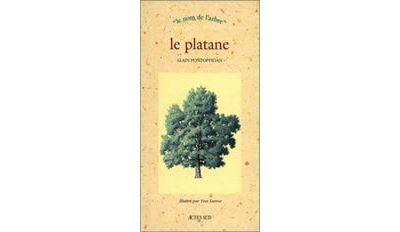 Platane-Le.jpg