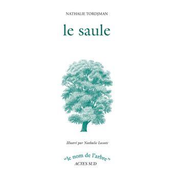 Le-saule.jpg