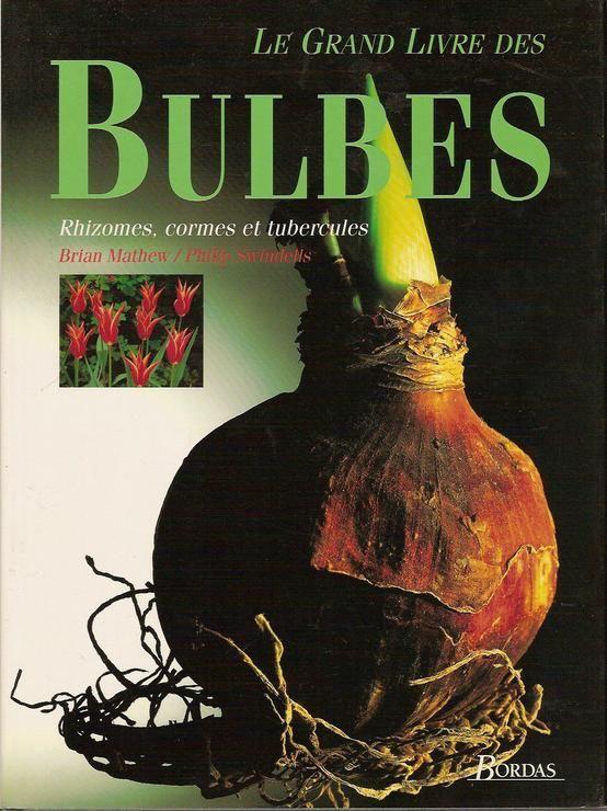BULBES.jpg