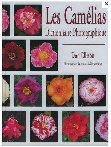 CAMELIAS.jpg