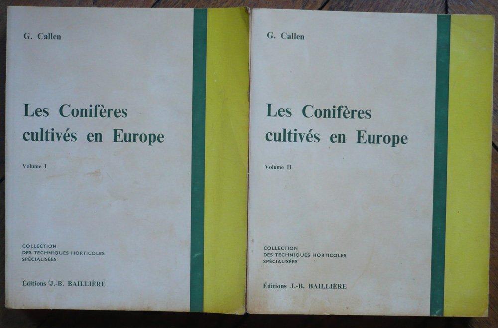 coniferes.jpg