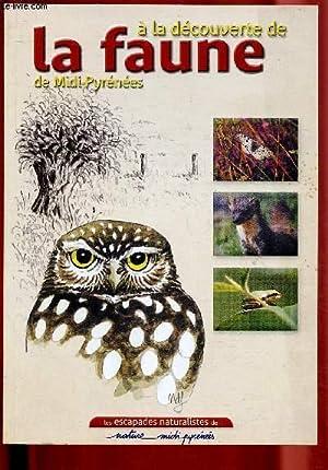 FAUNE-MP.jpg
