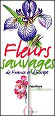 Fleurs-sauvages-de-France-et-d-Europe.jpg