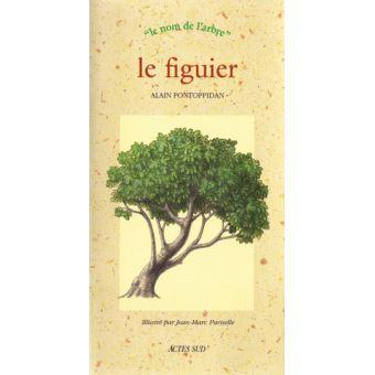 Le-figuier.jpg