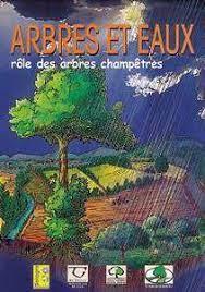 arbres_et-EAUX.jpg