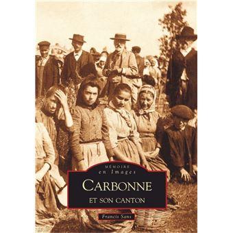 Carbonne-et-son-canton.jpg