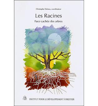 Les-racines-face-cachee-des-arbres.jpg