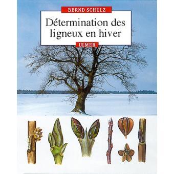 Determination-des-ligneux-en-hiver.jpg