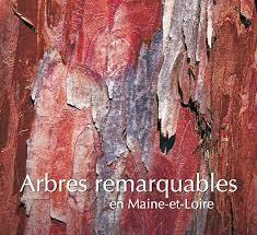 arbres-remarquables-Maine-et-Loire.jpg