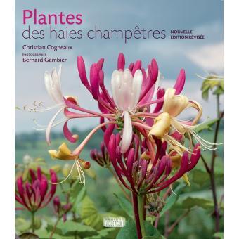 Les-plantes-de-haies-champetres.jpg