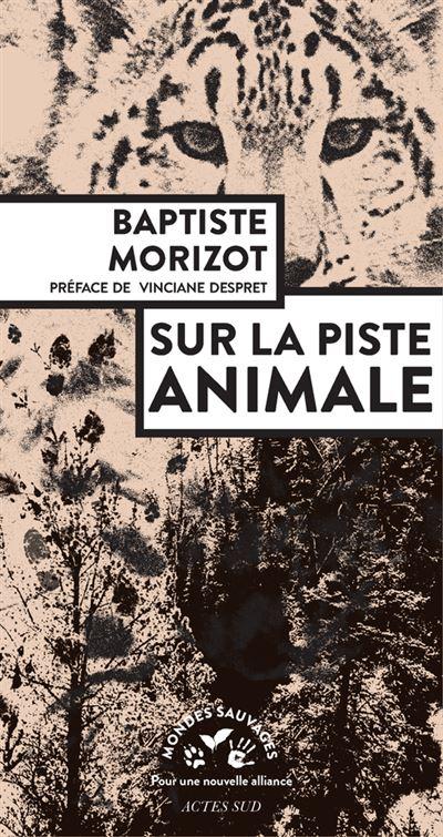 Sur-la-piste-animale.jpg