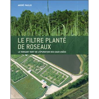 Le-filtre-plante-de-roseaux-le-versant-vert-de-l-epuration.jpg