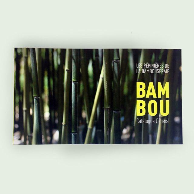 bambou.jpg