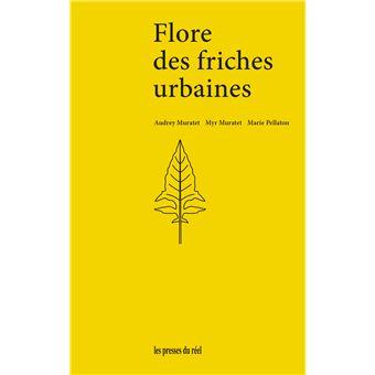 Flore-des-friches-urbaines.jpg