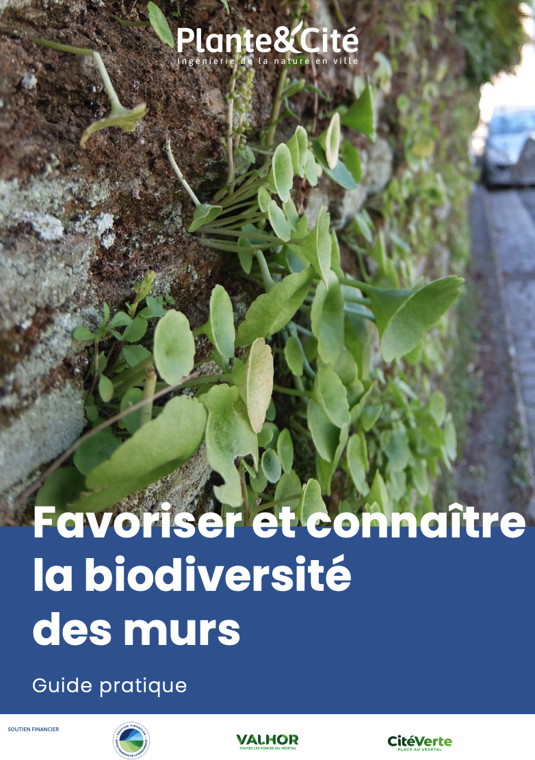 biodiversite_murs.png