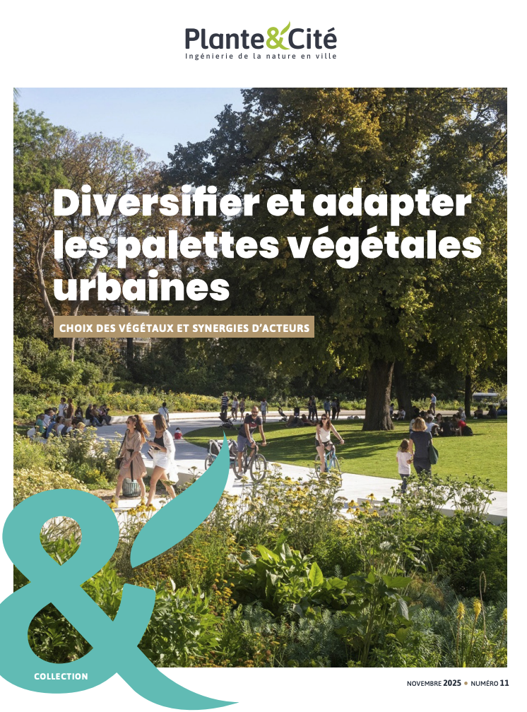 Capture d’écran 2025-12-24 à 14.28.28.png