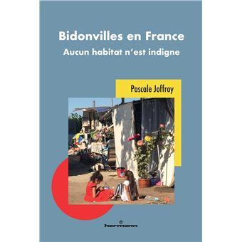 Bidonvilles-en-France.jpg